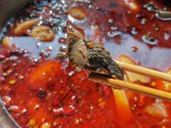 -黑竹香鸡(营和巷店)