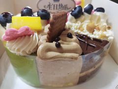 -维尔纳斯·生日蛋糕动物奶油冰淇淋蛋糕(人大店)