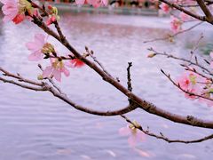-宝墨园景区