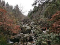 -大围山国家森林公园