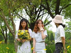 -春花秋色城市公园