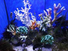 -多彩贵州城极地海洋世界