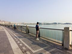 -星光岛