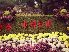 -莲湖公园