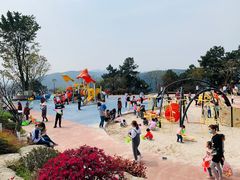 -铁山坪森林公园