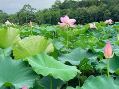 -英西峰林·洞天仙境