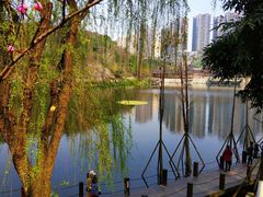 -重庆彩云湖湿地公园
