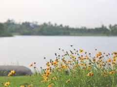 -桐乡凤凰湖