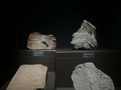 -湖南省地质博物馆