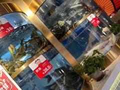 水产区-蜀滋香鲜鱼美蛙火锅(339店)