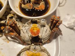 -杨氏青龙虾·羊蝎子(托乐嘉店)