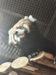 -Zoolung Zoolung动物主题公园(海信广场店)