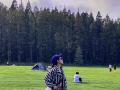 -黄海国家森林公园