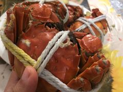 -黄记大闸蟹专卖店·活蟹·醉蟹