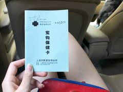 -甄爱宠物医院(疏影路店)