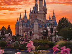 -上海迪士尼度假区