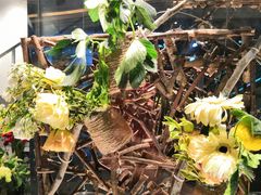 -植物学家的女儿(北马道巷店)