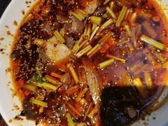 -陈麻婆豆腐(旗舰店)