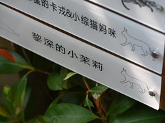 -泽田本家·铜锣烧(环贸店)