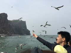 -长岛万鸟岛