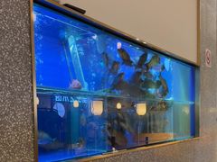 -顺峰顺水顺德菜(第一百货店)