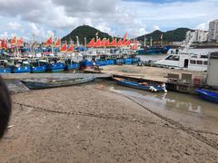 -沈家门渔港