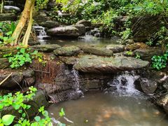 -水濂山森林公园