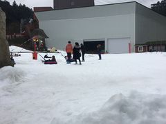 -梦幻奥陶纪景区