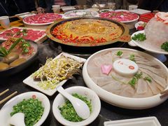 -一斗火锅·招财羊毛肚(北温泉九号店)