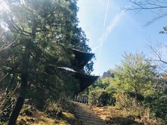 景点-常寂光寺