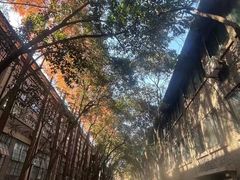 -南京晨光1865创意产业园