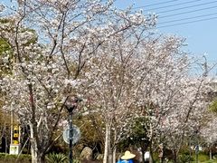 -外高桥保税区南(地铁站)