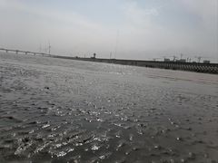 -南汇嘴观海公园