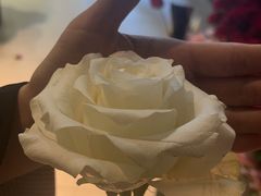 -好利来(高新枫叶广场店)