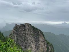 -牛背梁国家森林公园