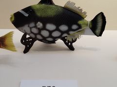 -诸暨博物馆