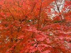 -狼山风景名胜区