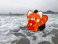 -仰口沙滩