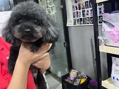 -久久宠物(河东万达店)