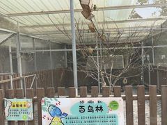 -太阳岛旅游度假区