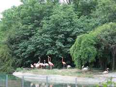 -西安秦岭野生动物园