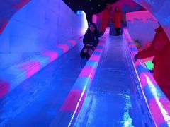 -梦幻奥陶纪景区