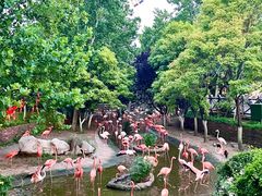 -大连森林动物园