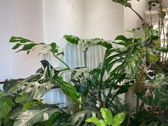 -Peet's Coffee皮爷咖啡(上海长风大悦城店)