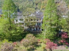 -宁波余姚老柿林山居度假村