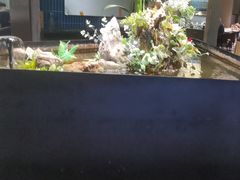 -映像威海·威海宴(威高广场店)