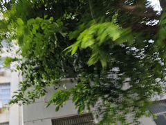 -万达影城IMAX(海口日月广场店)