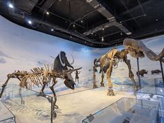 -辽宁古生物博物馆