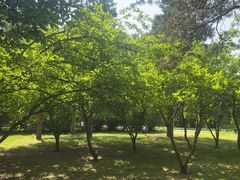 -长春公园(普阳街道)