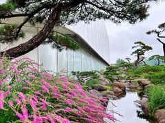 -罗红摄影艺术馆